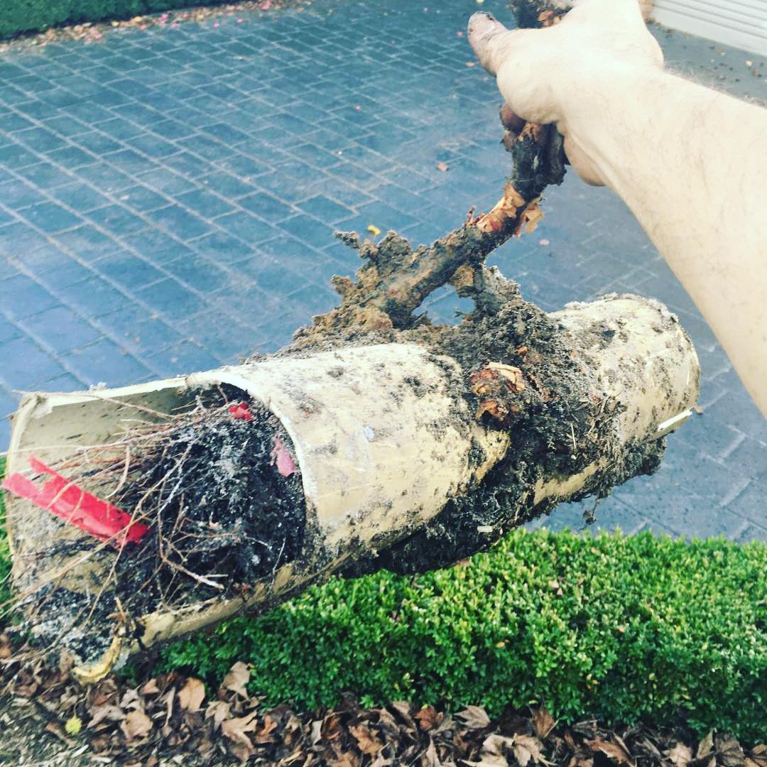 Blocked Stormwater Drains